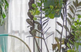 Center Templo Garden parking gratis - Photo 8