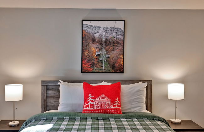 Fall Line Condo C3 1 Bedroom Condo - Photo 3