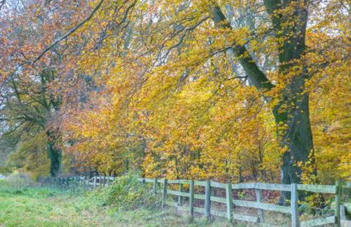 Woodside Cottage - Foto 9