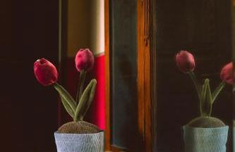 Agriturismo Re Tarquinio - Foto 80