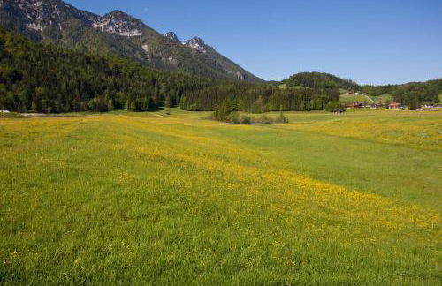 Ferienwohnung Panorama Eg - Foto 29