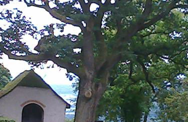 Ferienwohnung Irmgard - Foto 12