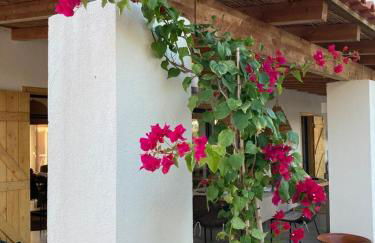 Amélia's House (Casa das Amélias) - Foto 3