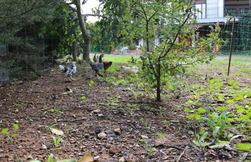 LOS NOGALES - Photo 34