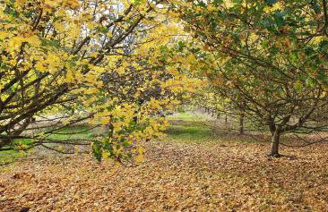 The Granary Stradbroke - Foto 34