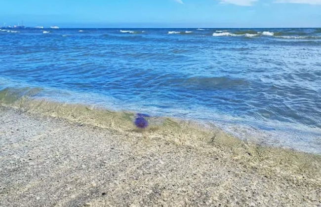 6 Person Holiday Home in Frederikshavn-by Traum - Foto 32