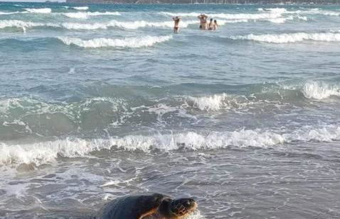 Trilocale Margine Rosso - Foto 4