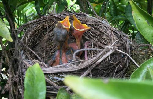 Casa do Vale - Foto 40