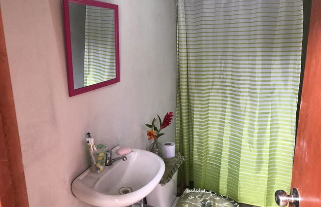 Ayahuaska - Photo 15