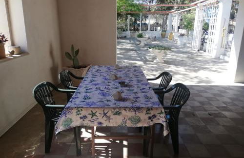 Wild Paradise - Foto 12