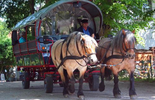 Apartment Neuendorf - Hiddensee 1 - Foto 15