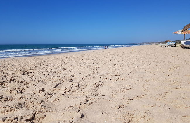 Camara Gardens Apartments with Pool - Photo 14