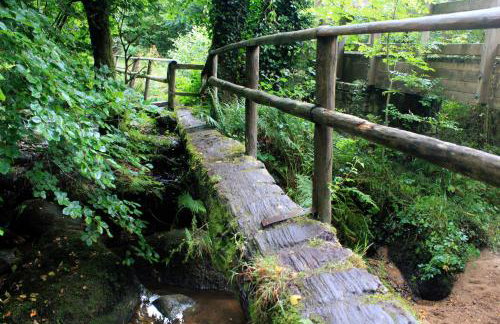 The Nest - Thatched seaside country cottage for two - Foto 50