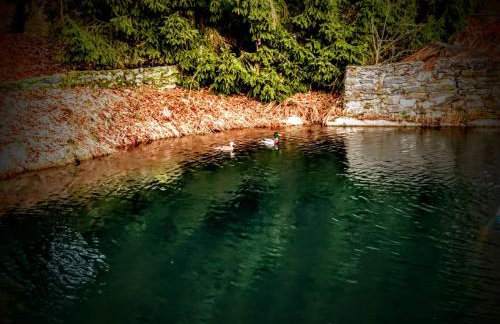 Derkaczowa Kotlina - Foto 61