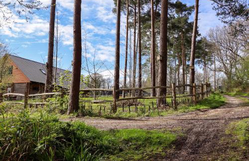 Ghyll Park Farm - Foto 40