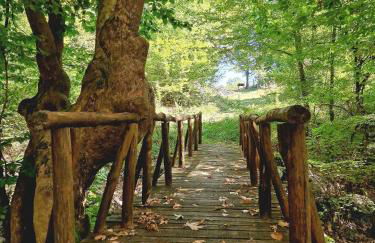 Guest house Elatochori - Foto 42