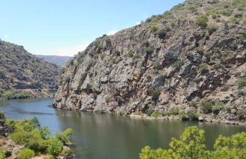 Quinta Alto da Fraga - Foto 45