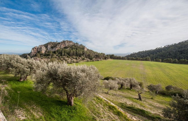 Can Bess Mancor De La Vall - Foto 31