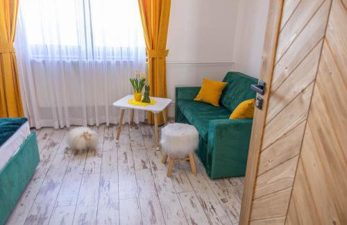 Wierchowa Chałupa Jacuzzi & Sauna - Foto 47