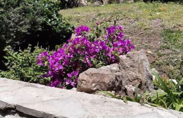 Panoramic villa on top of Capo Falcone - Foto 36