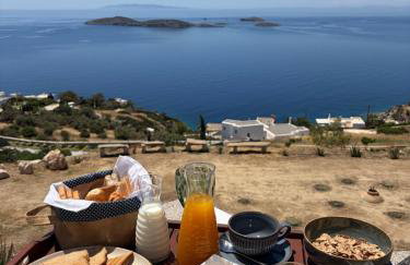 Eolia luxury houses Andros - Photo 4