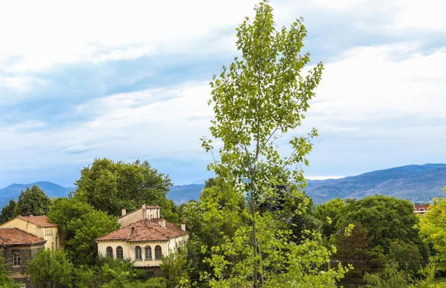 Edea's Apartment Korce Albania - Foto 15