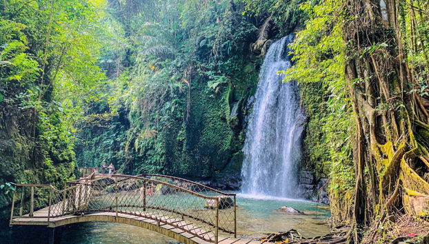 Ubud, Goa Gajah & Central Bali Private Tour - Foto 4