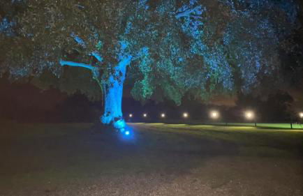 Grade II Listed Farmhouse, Pool, Hot Tub, Games Room, Celebration Hall, Car Park, 10ppl, 45 min from Central London - Foto 14