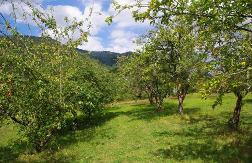 La Casona de Candamín - Foto 27