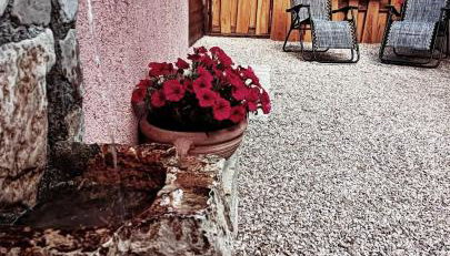 Appartamento Vacanze Il Daino - Foto 3