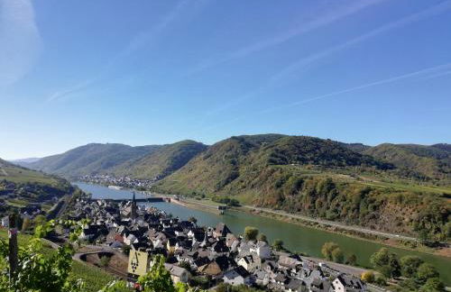 Weingut Amlinger&Sohn - Photo 21