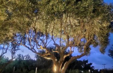 Olive TreeHouse - Foto 31