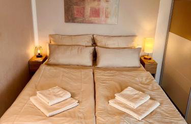 Penthouse studio apartment with terrace near Audi - Photo 16