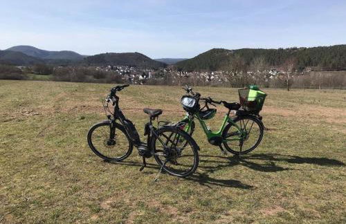 Haus am Kirchberg in Vita Garden - Foto 23