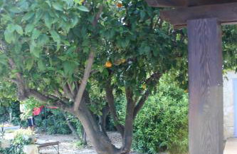 Mas Fany et Olivier - Foto 20