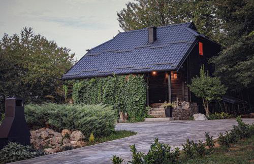 House Forest with HOT TUB - Foto 1