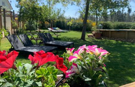 Quinta Vale Salgueiro - Foto 25