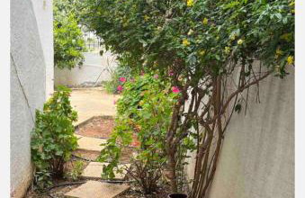 Island Away Chersonisos - Foto 35