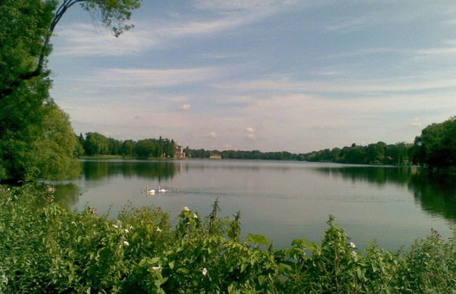 Nice Apartment in Potsdam - Foto 7