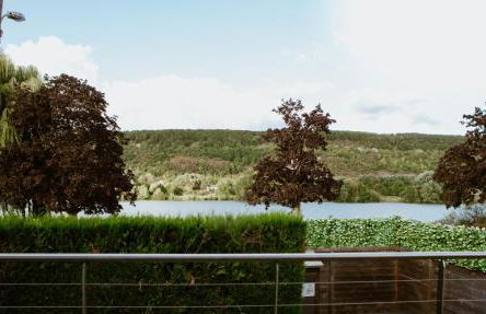 Les Terrasses sur Seine - Foto 26