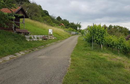 Ferienwohnung Burgblick im Neuffener Tal mit Sauna und Wallbox - Foto 49