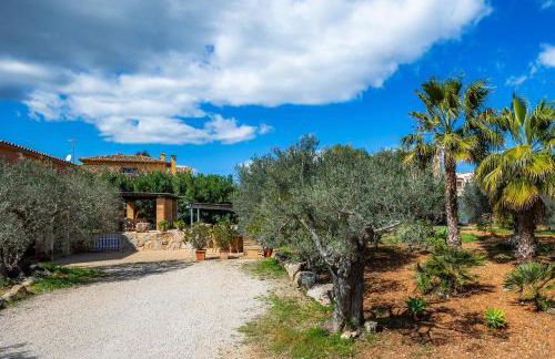 Ses Oliveres en Port Verd - Foto 30