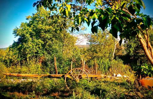 A Casiña do Anselmiño - Foto 29