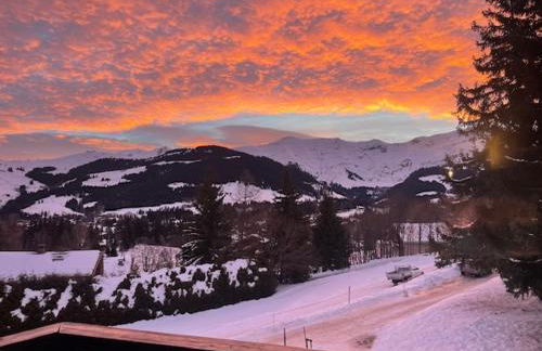 Appartement à Megève skis aux pieds - La CABOCHE - Photo 1