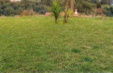 Tapadas do Sol - Foto 9