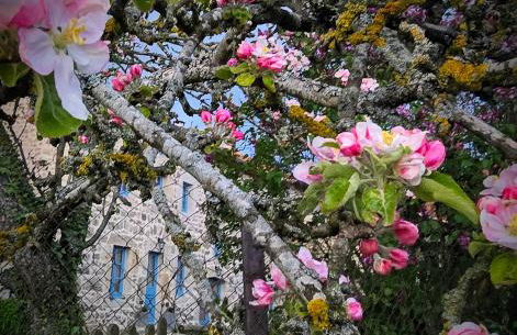 GITE LA MENOU - Foto 19