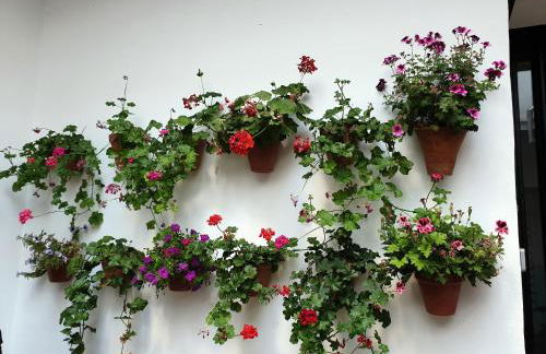 Entre patios y flores - Foto 11