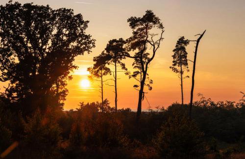 Dymnica 5- dom wakacyjny blisko Sasina i Łeby - Foto 43