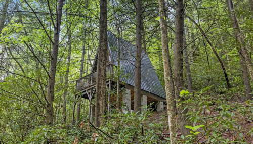 Fern Grove - Camping Cabin Retreat in RRG KY - Photo 2