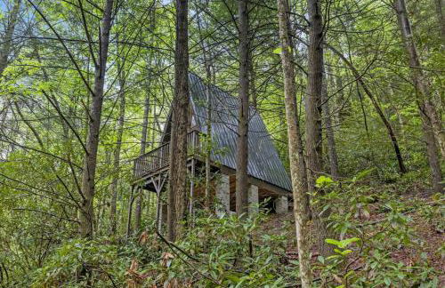 Fern Grove - Camping Cabin Retreat in RRG KY - Photo 2